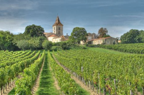 Best Vacation Destinations for Wine Enthusiasts