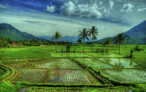 Indonesian Eco-Tourism Paradise