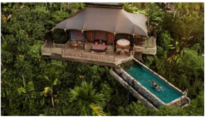 Top Glamping Spots in Bali for Nature Lovers