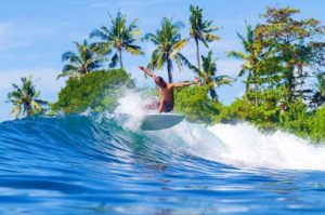 Top Surf Camps in Bali for Beginners 2025