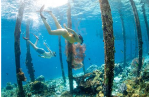 Unveiling Indonesia's Hidden Treasures