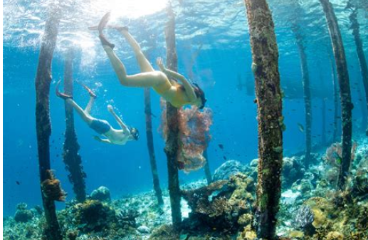 Unveiling Indonesia's Hidden Treasures