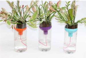 How to Water Plants When on Vacation
