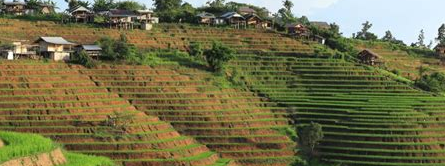 An Unforgettable Journey Through the Terraced Rice Fields of Chiang Mai