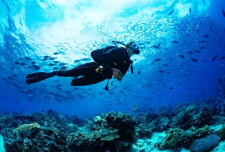 Decoding the diving package prices on Koh Phi Phi Island