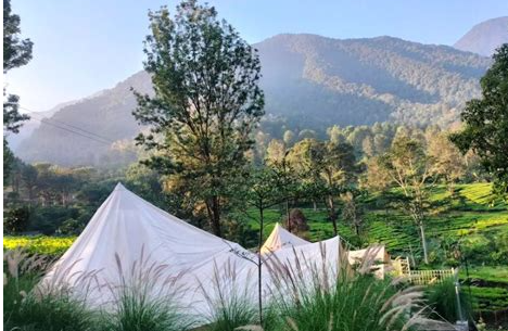 The Unseen Tapestry of Puncak