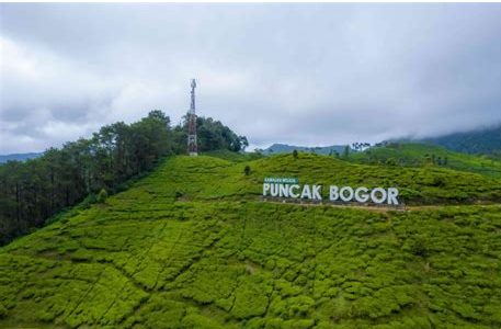 Unearthing Truly Traffic-Free Holiday Destinations in Bogor