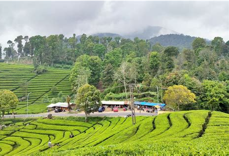 Unveiling West Java's Emerald Embrace and the Soulful Sip of Serenity