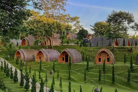 Why Unique Treehouse Accommodations Offer More Than Just a Bed
