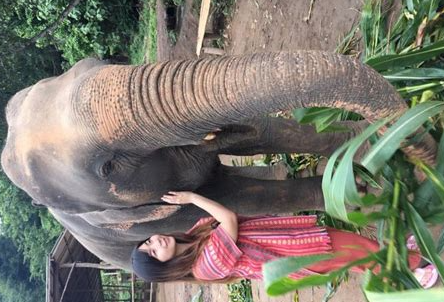 Your Compassionate Guide to Ethical Elephant Interactions in Thailand